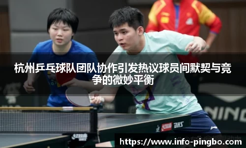 杭州乒乓球队团队协作引发热议球员间默契与竞争的微妙平衡